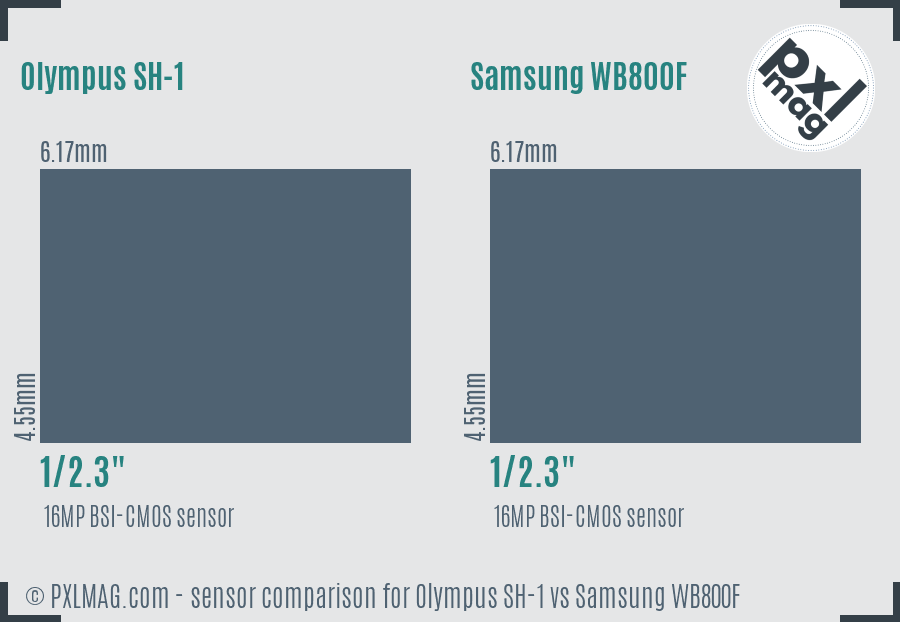 Olympus SH-1 vs Samsung WB800F sensor size comparison