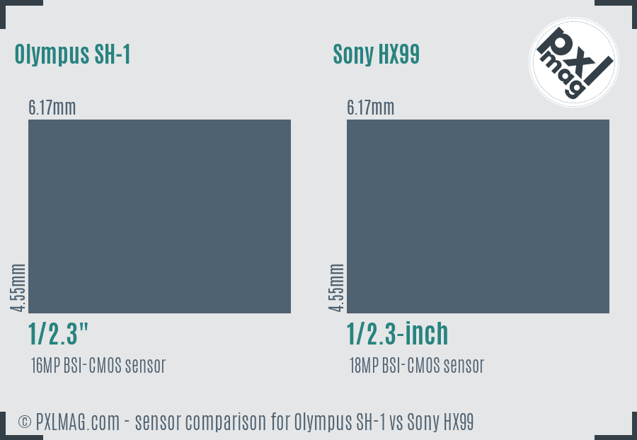 Olympus SH-1 vs Sony HX99 sensor size comparison
