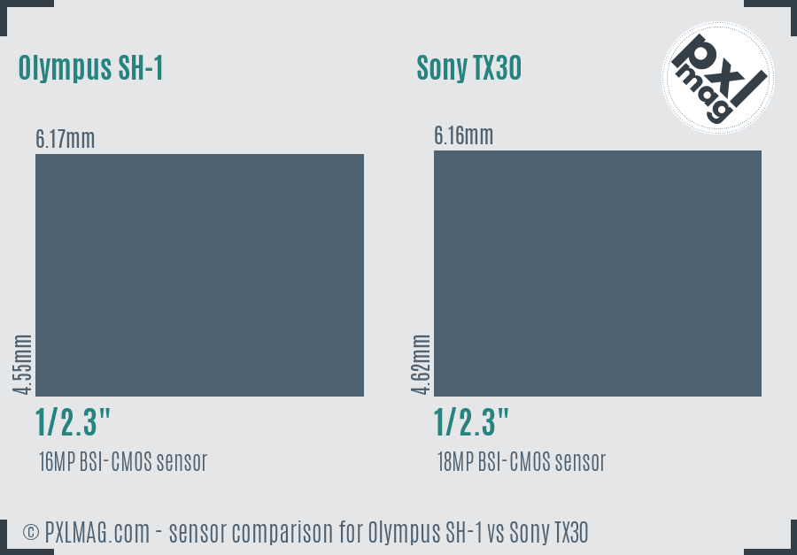 Olympus SH-1 vs Sony TX30 sensor size comparison