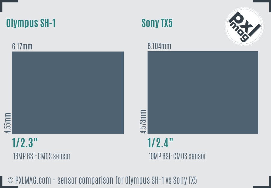 Olympus SH-1 vs Sony TX5 sensor size comparison