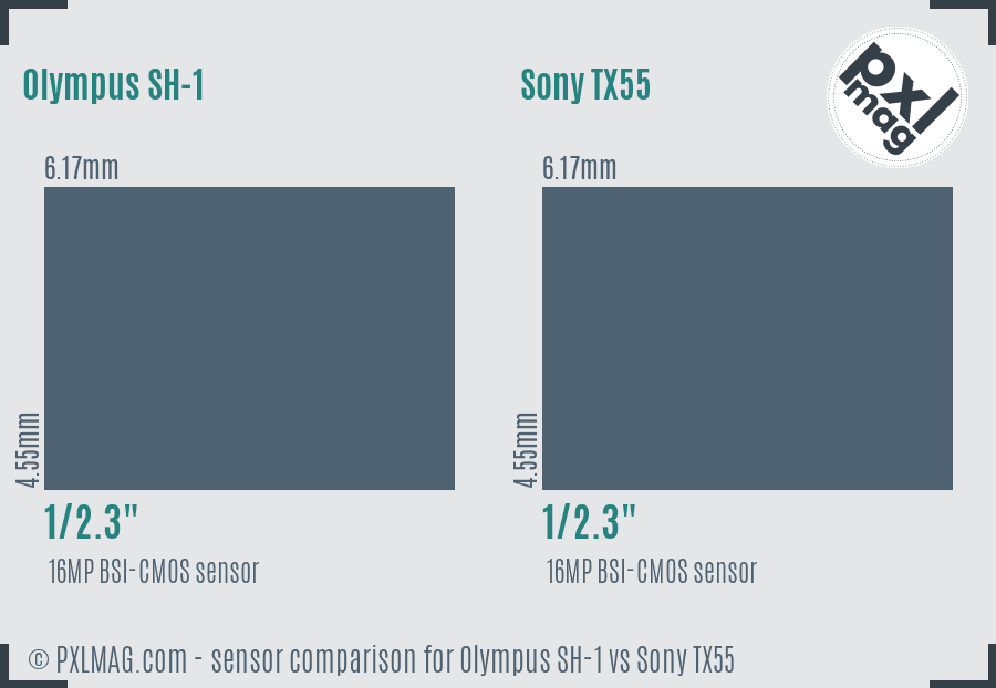 Olympus SH-1 vs Sony TX55 sensor size comparison