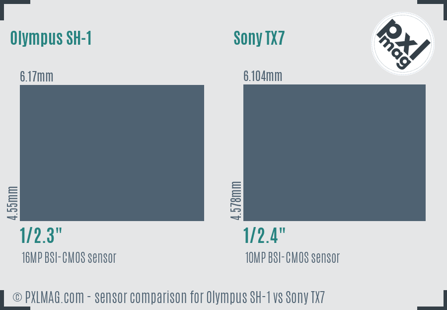 Olympus SH-1 vs Sony TX7 sensor size comparison