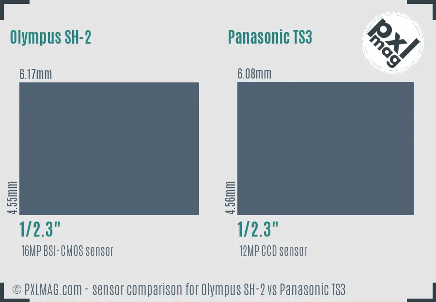 Olympus SH-2 vs Panasonic TS3 sensor size comparison