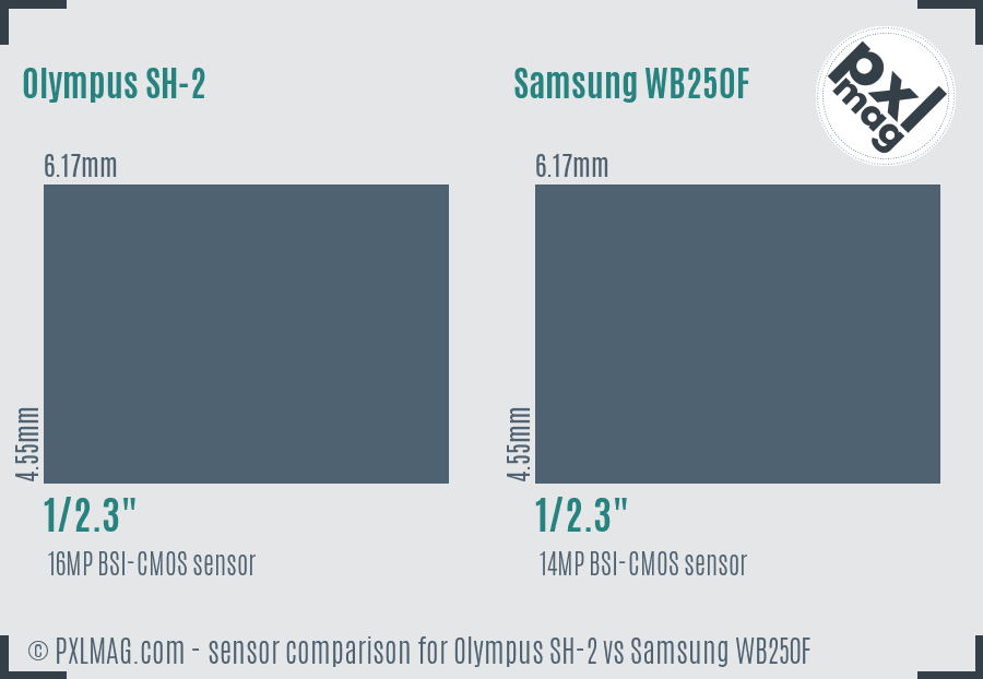 Olympus SH-2 vs Samsung WB250F sensor size comparison