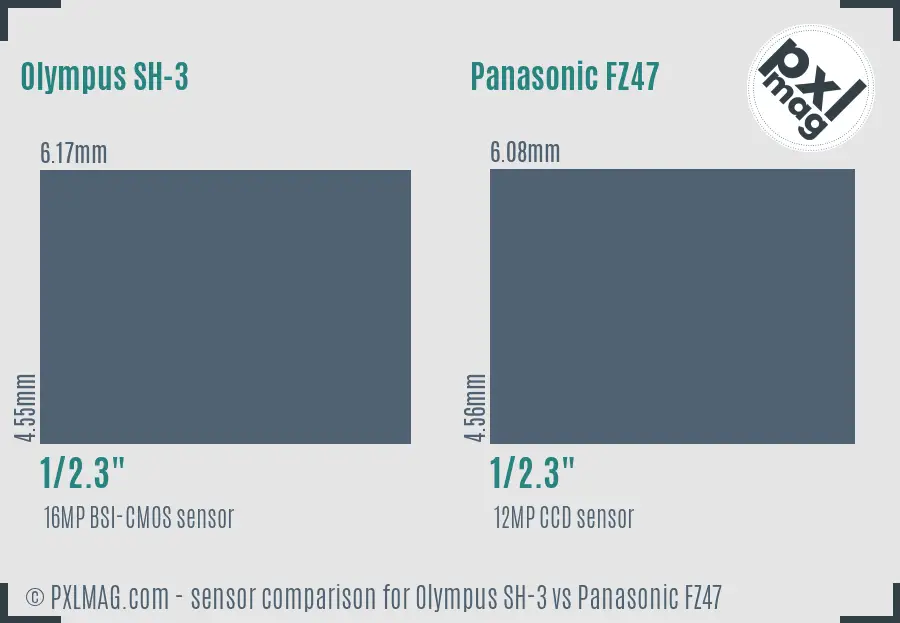 Olympus SH-3 vs Panasonic FZ47 sensor size comparison