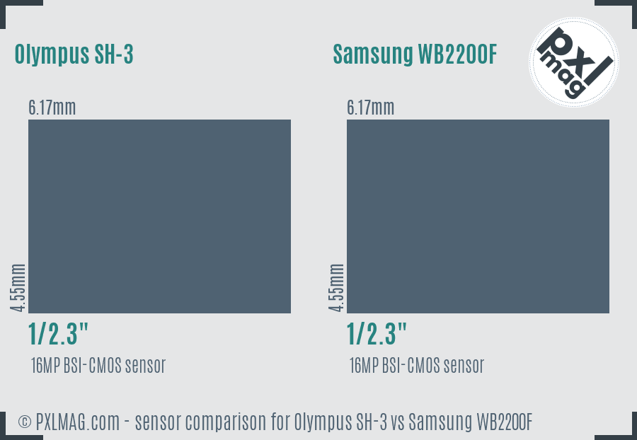 Olympus SH-3 vs Samsung WB2200F sensor size comparison