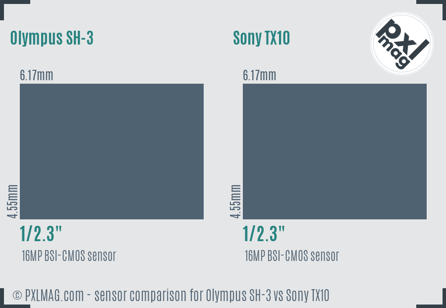 Olympus SH-3 vs Sony TX10 sensor size comparison