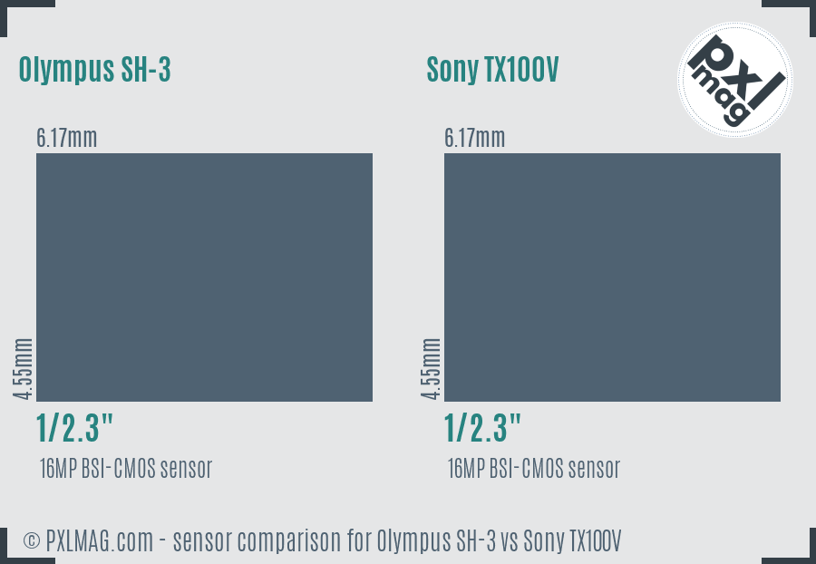 Olympus SH-3 vs Sony TX100V sensor size comparison