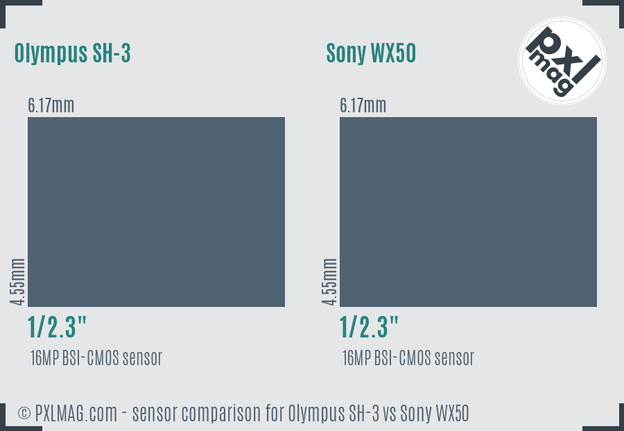 Olympus SH-3 vs Sony WX50 sensor size comparison