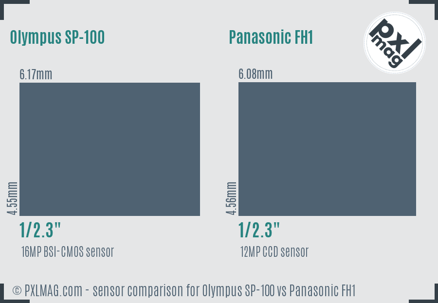 Olympus SP-100 vs Panasonic FH1 sensor size comparison