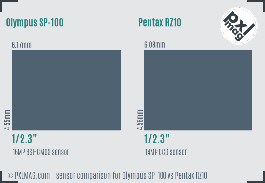 Olympus SP-100 vs Pentax RZ10 sensor size comparison