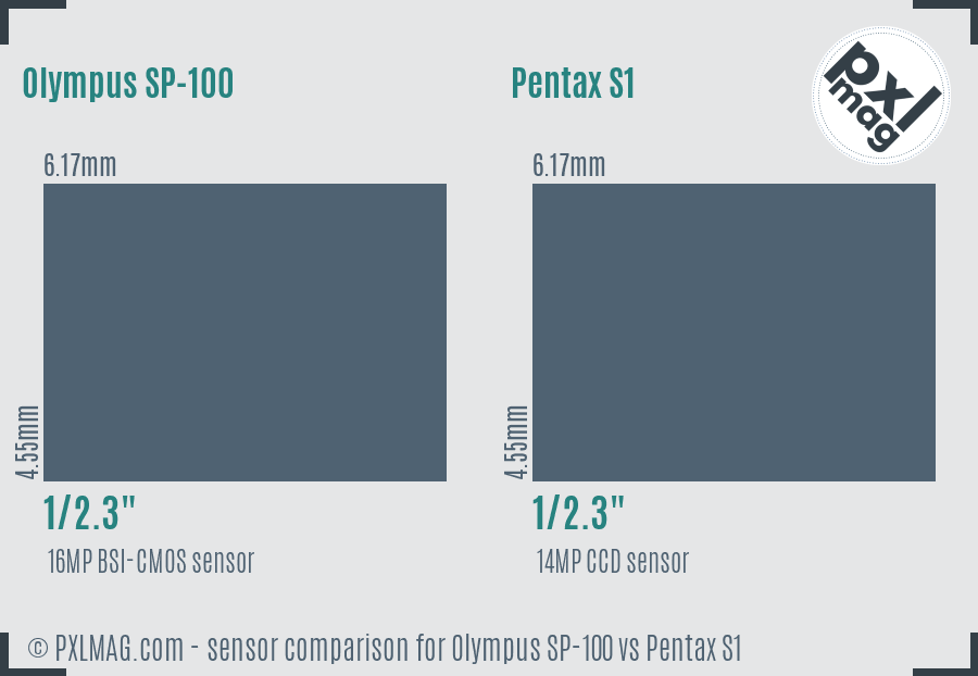 Olympus SP-100 vs Pentax S1 sensor size comparison