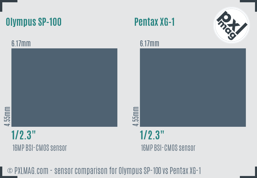 Olympus SP-100 vs Pentax XG-1 sensor size comparison