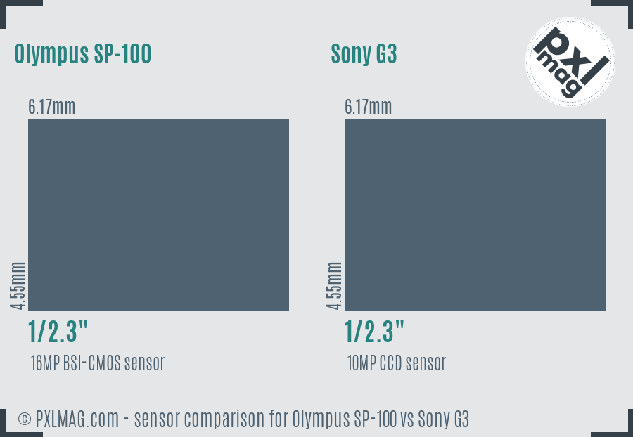 Olympus SP-100 vs Sony G3 sensor size comparison