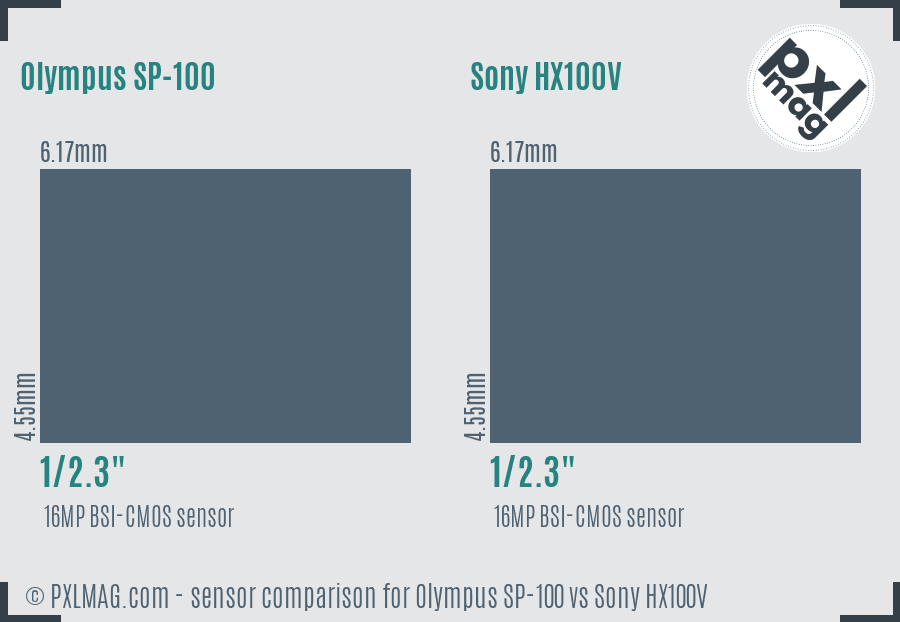 Olympus SP-100 vs Sony HX100V sensor size comparison