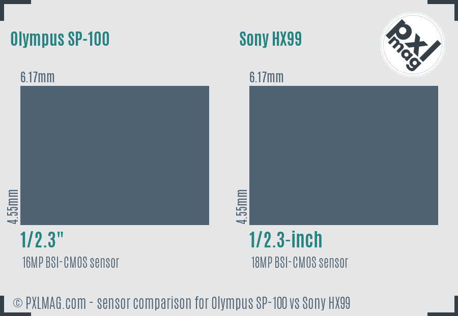 Olympus SP-100 vs Sony HX99 sensor size comparison