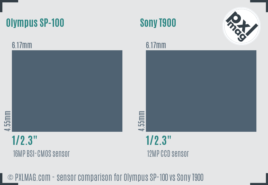 Olympus SP-100 vs Sony T900 sensor size comparison