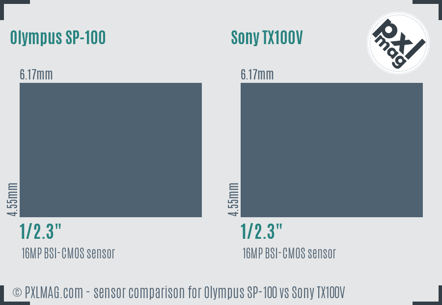 Olympus SP-100 vs Sony TX100V sensor size comparison