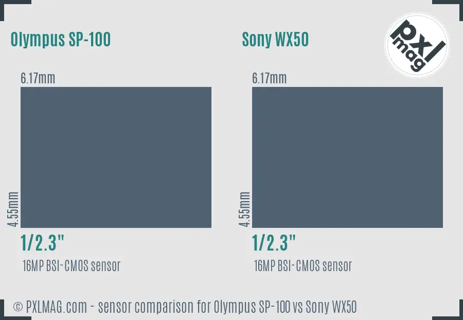 Olympus SP-100 vs Sony WX50 sensor size comparison Olympus SP-100 vs Sony WX50 sensor size comparison