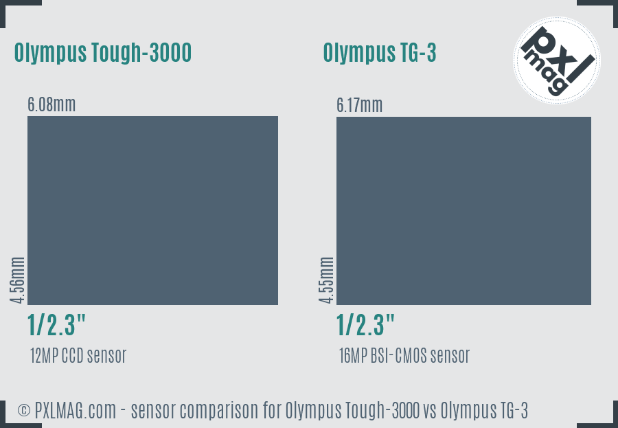 Olympus Tough-3000 vs Olympus TG-3 sensor size comparison