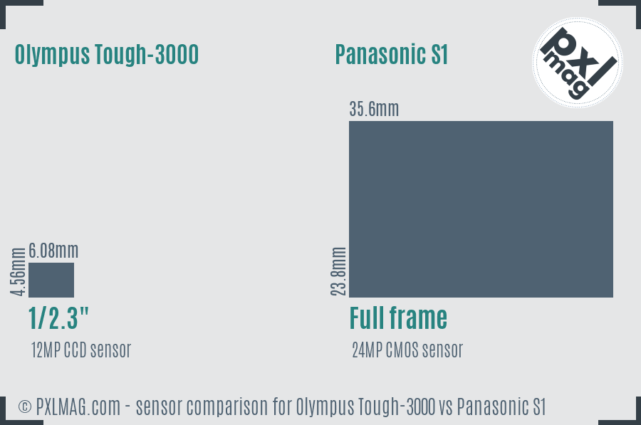 Olympus Tough-3000 vs Panasonic S1 sensor size comparison