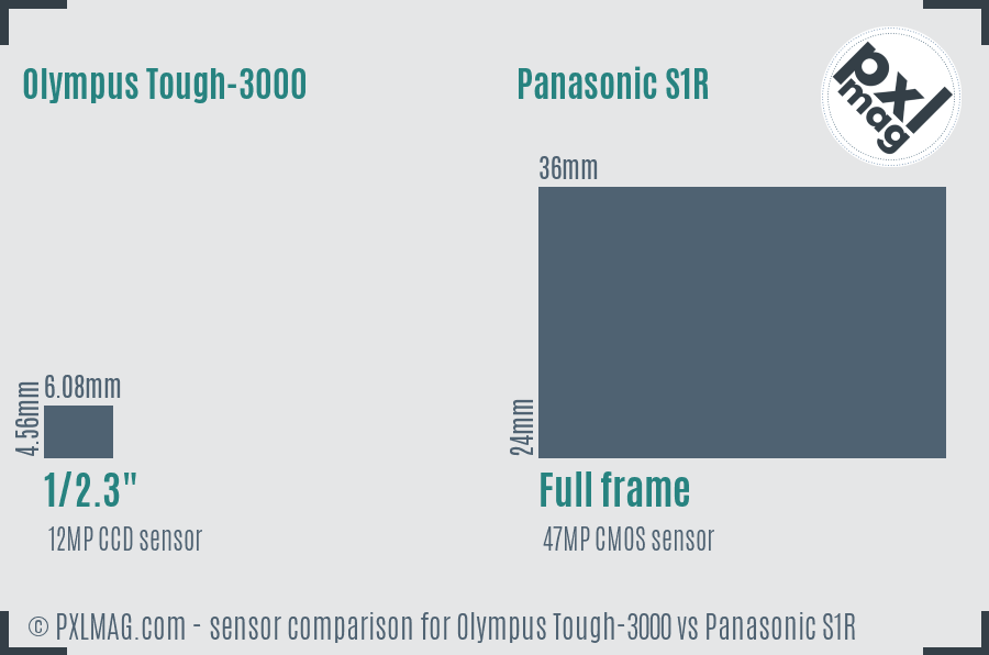 Olympus Tough-3000 vs Panasonic S1R sensor size comparison