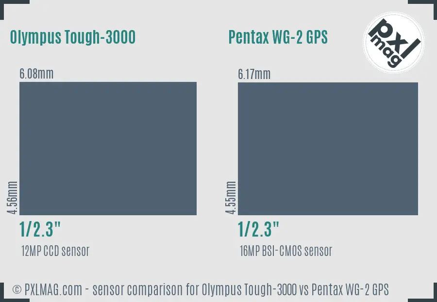 Olympus Tough-3000 vs Pentax WG-2 GPS sensor size comparison