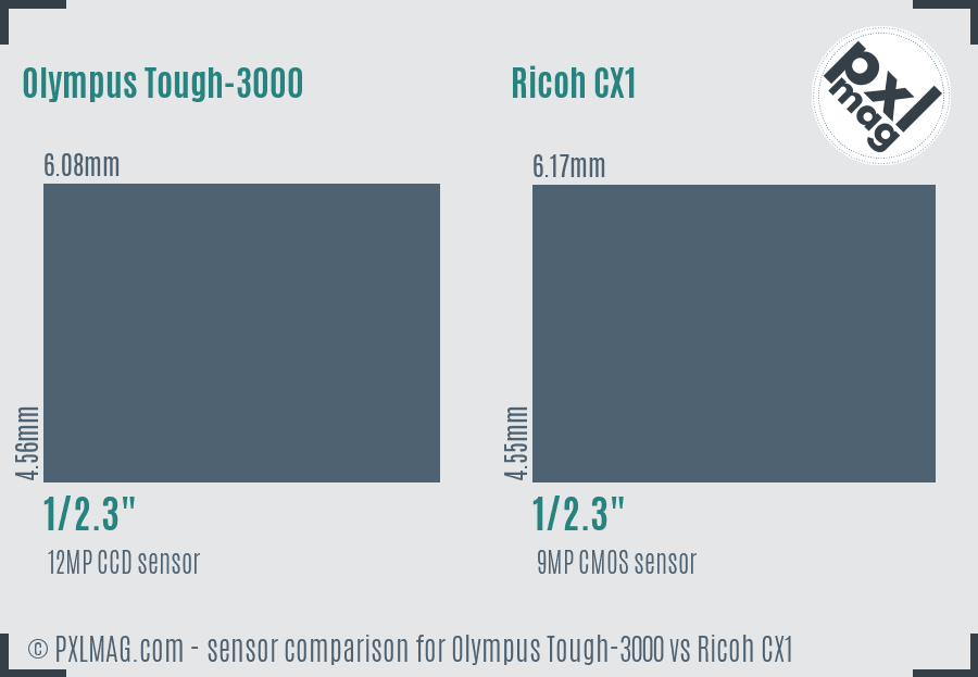 Olympus Tough-3000 vs Ricoh CX1 sensor size comparison