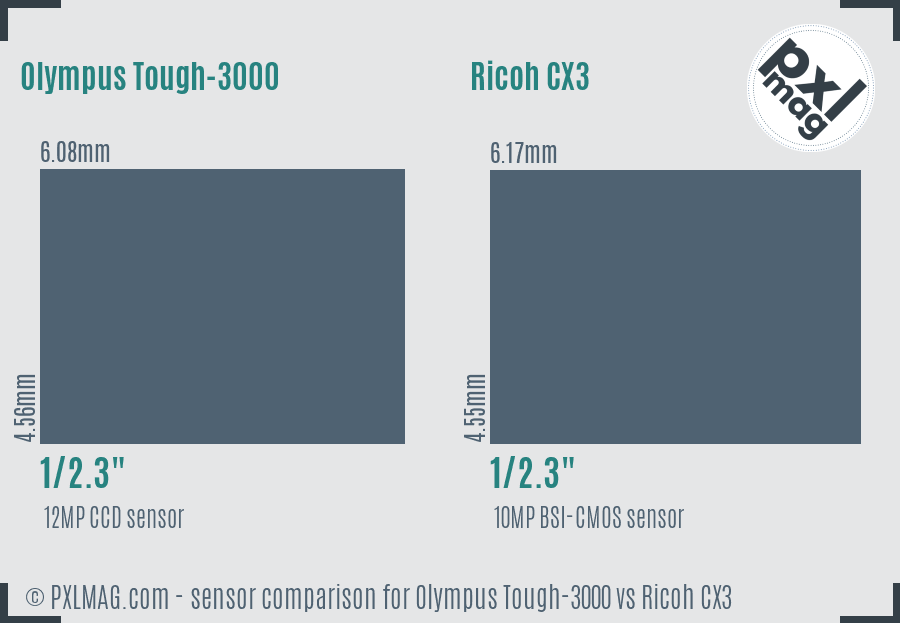 Olympus Tough-3000 vs Ricoh CX3 sensor size comparison