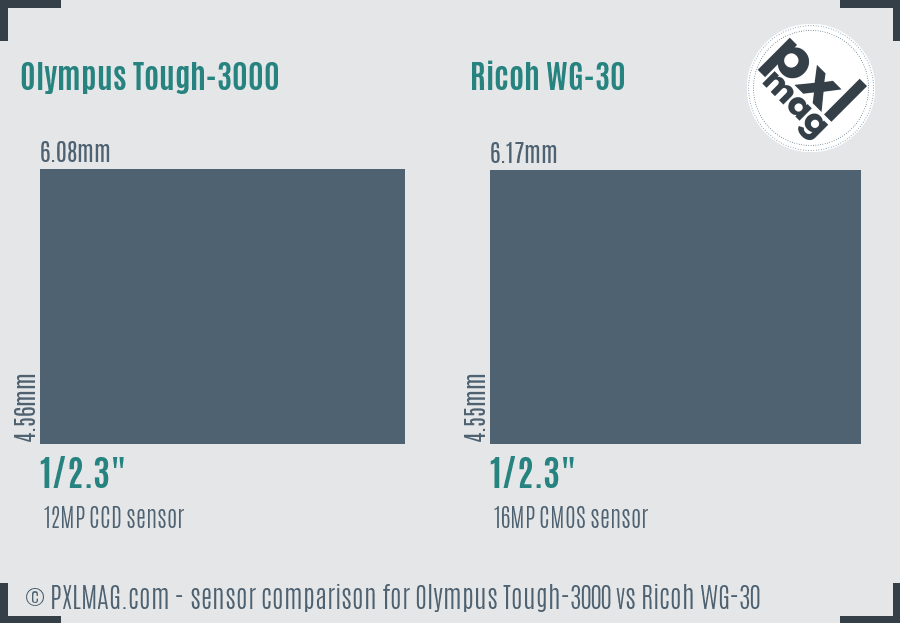 Olympus Tough-3000 vs Ricoh WG-30 sensor size comparison
