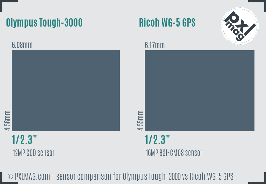 Olympus Tough-3000 vs Ricoh WG-5 GPS sensor size comparison
