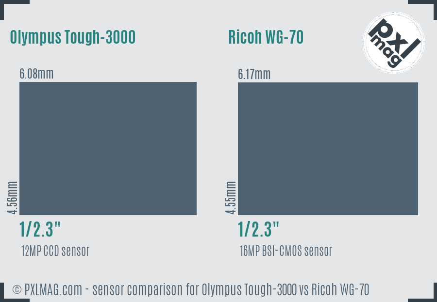 Olympus Tough-3000 vs Ricoh WG-70 sensor size comparison