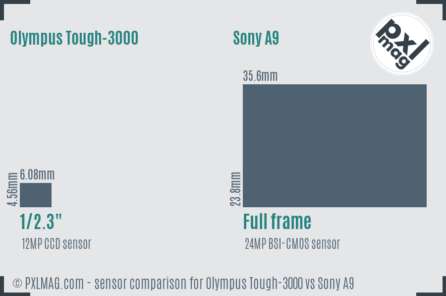 Olympus Tough-3000 vs Sony A9 sensor size comparison