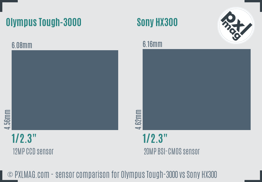 Olympus Tough-3000 vs Sony HX300 sensor size comparison