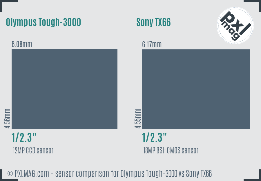 Olympus Tough-3000 vs Sony TX66 sensor size comparison