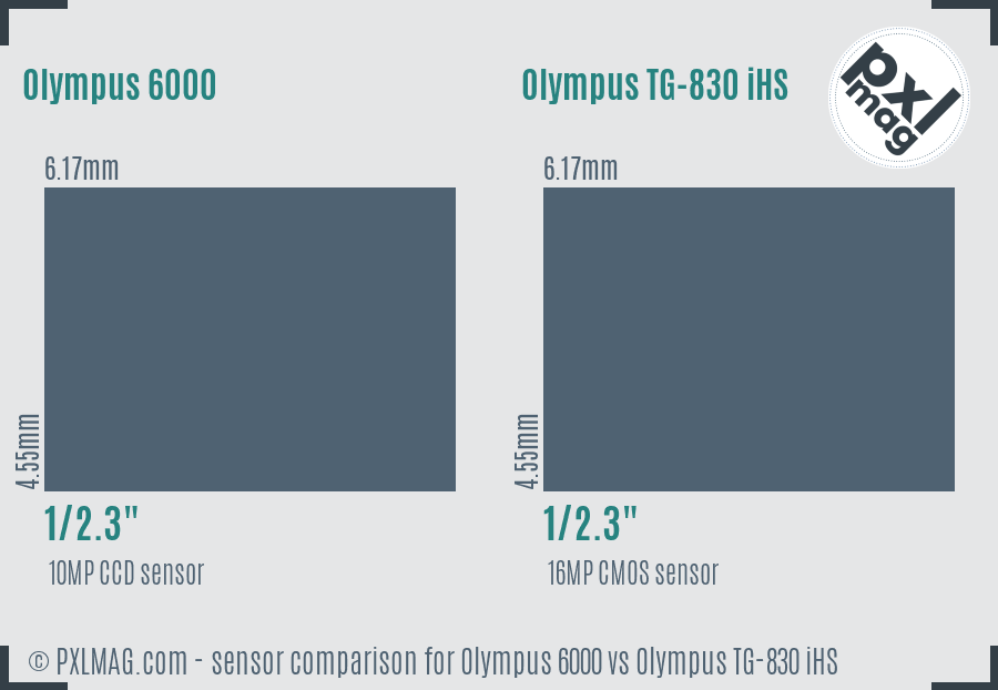 Olympus 6000 vs Olympus TG-830 iHS sensor size comparison