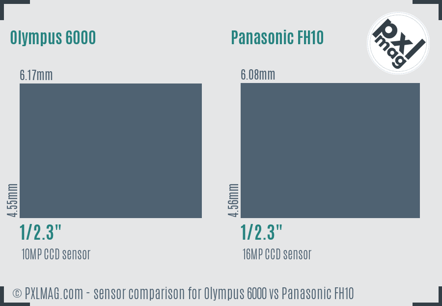 Olympus 6000 vs Panasonic FH10 sensor size comparison