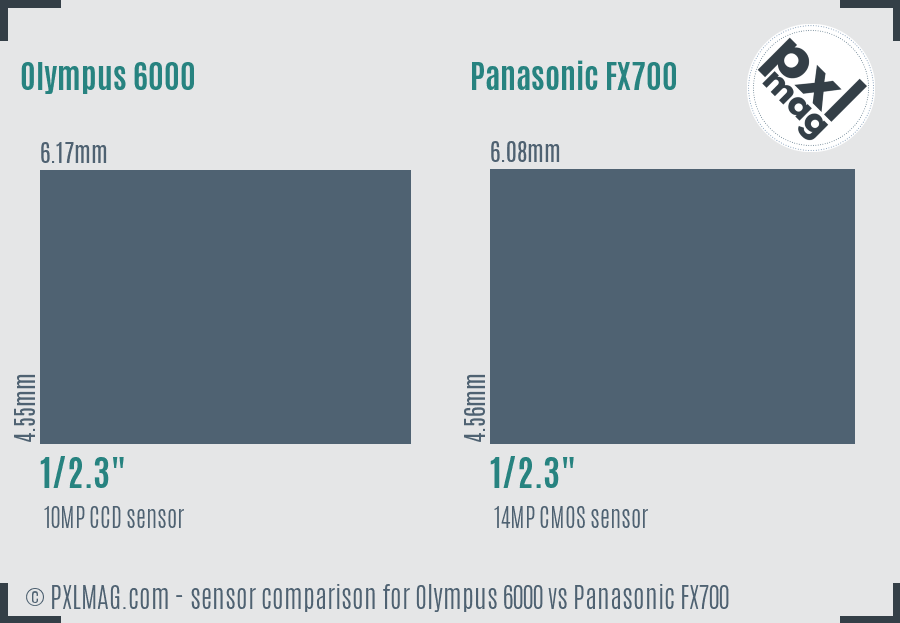 Olympus 6000 vs Panasonic FX700 sensor size comparison Olympus 6000 vs Panasonic FX700 sensor size comparison