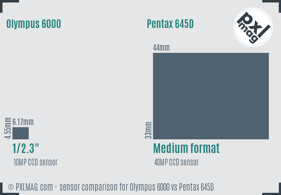 Olympus 6000 vs Pentax 645D sensor size comparison