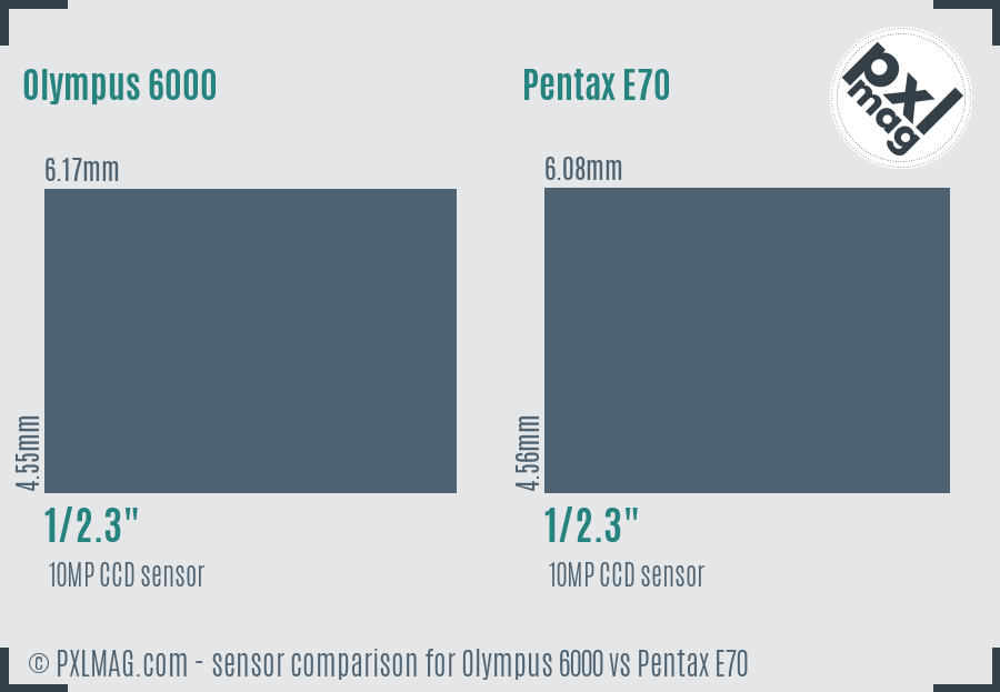 Olympus 6000 vs Pentax E70 sensor size comparison