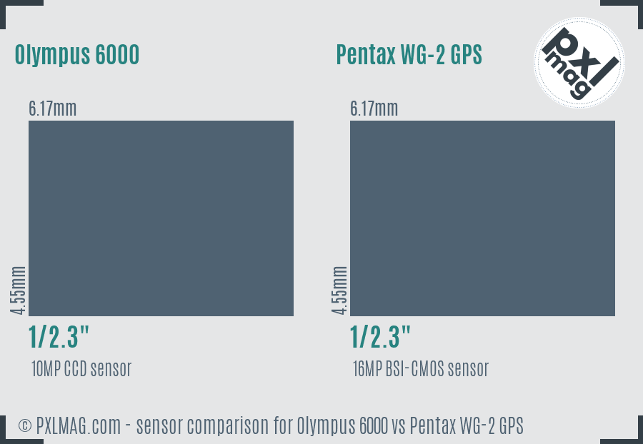 Olympus 6000 vs Pentax WG-2 GPS sensor size comparison