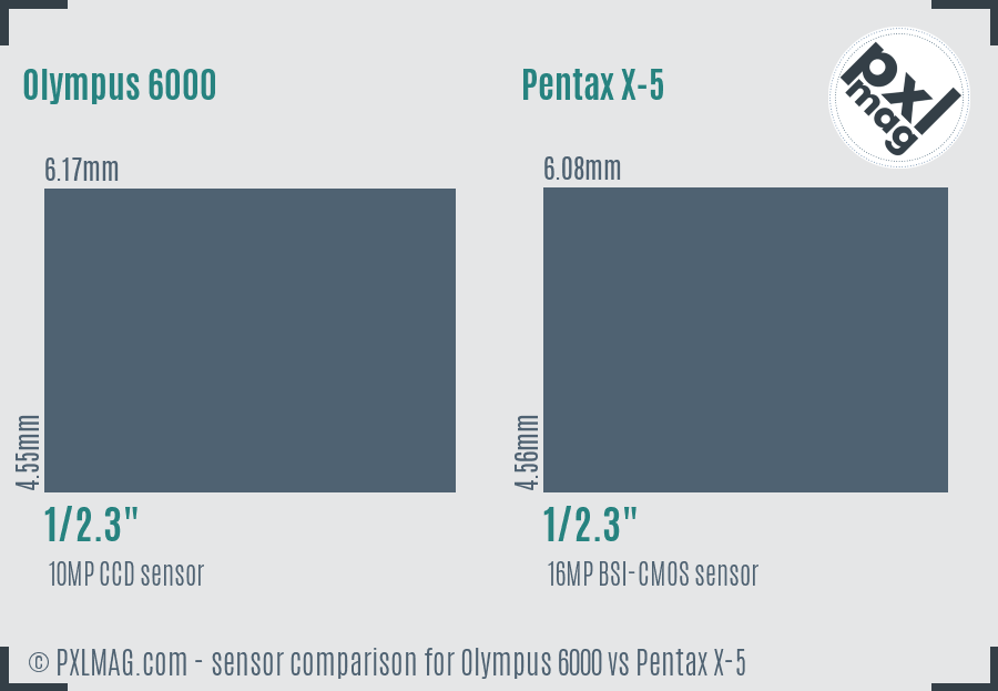 Olympus 6000 vs Pentax X-5 sensor size comparison