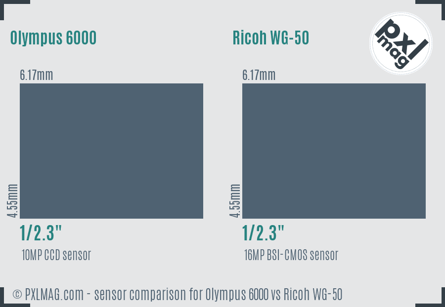Olympus 6000 vs Ricoh WG-50 sensor size comparison