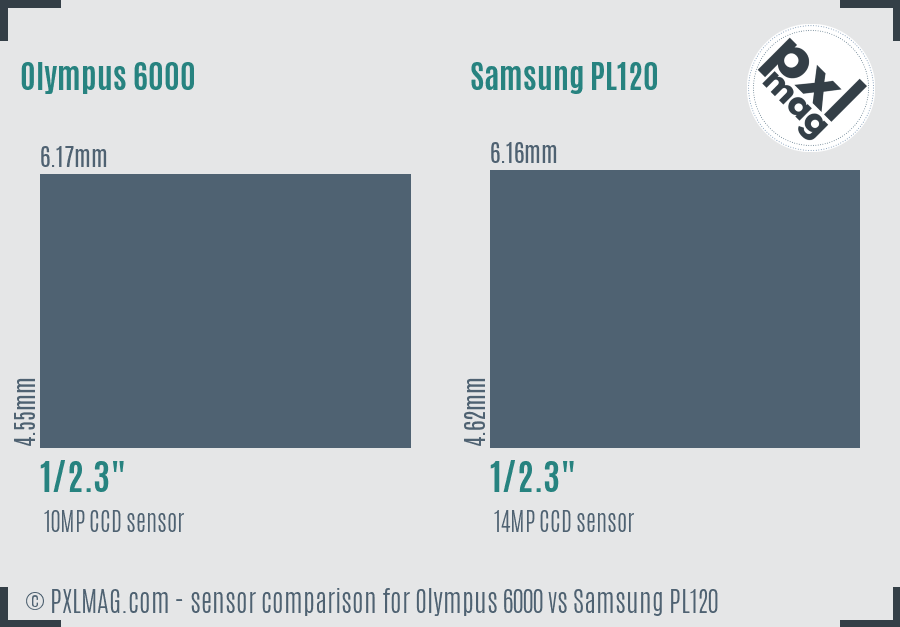 Olympus 6000 vs Samsung PL120 sensor size comparison Olympus 6000 vs Samsung PL120 sensor size comparison