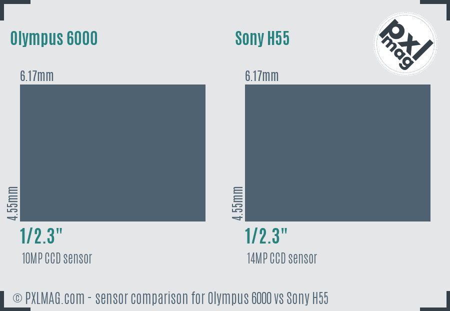 Olympus 6000 vs Sony H55 sensor size comparison