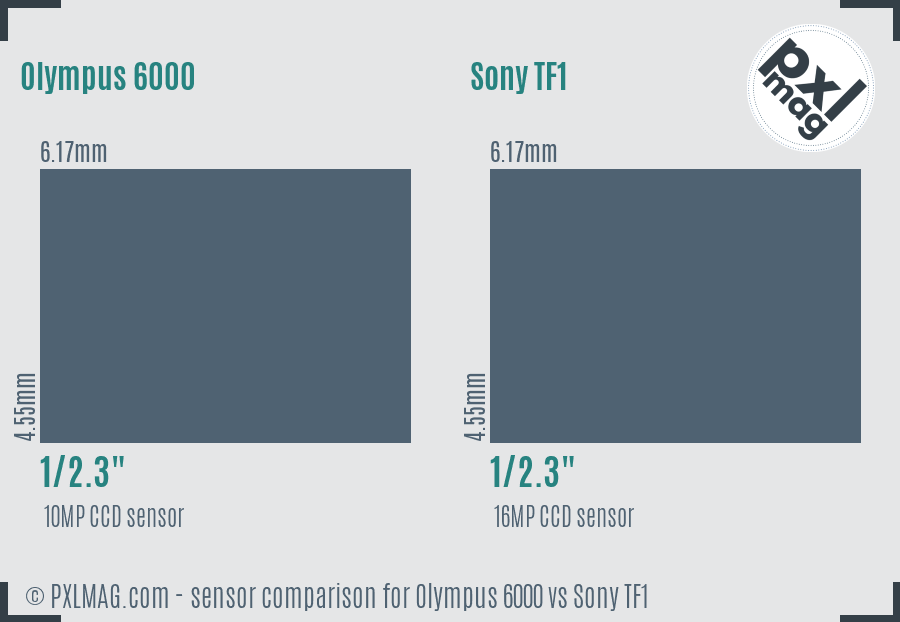 Olympus 6000 vs Sony TF1 sensor size comparison