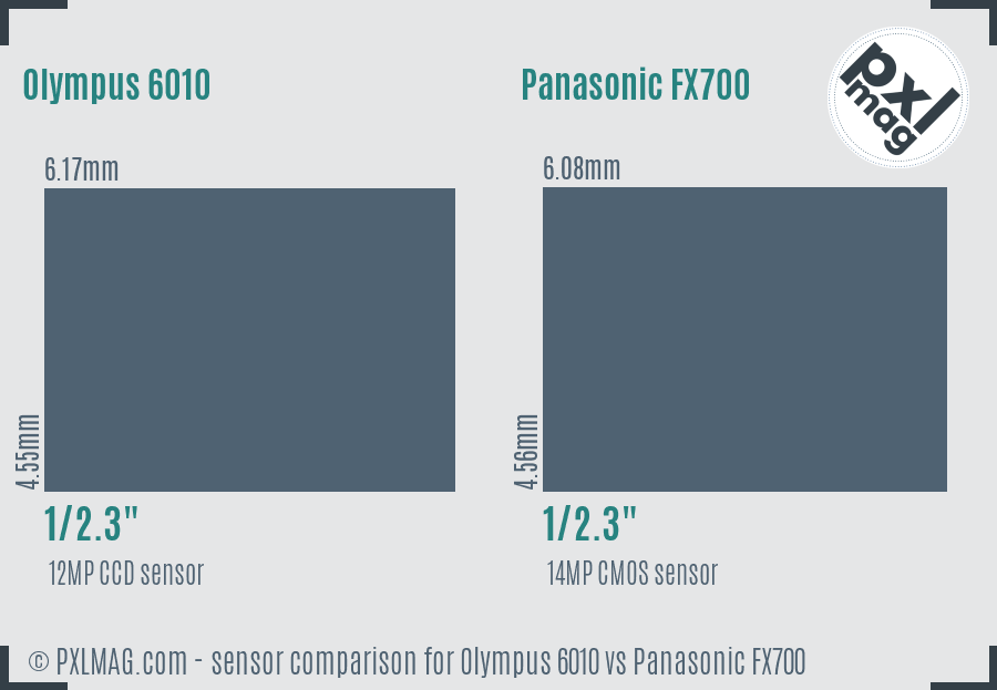 Olympus 6010 vs Panasonic FX700 sensor size comparison