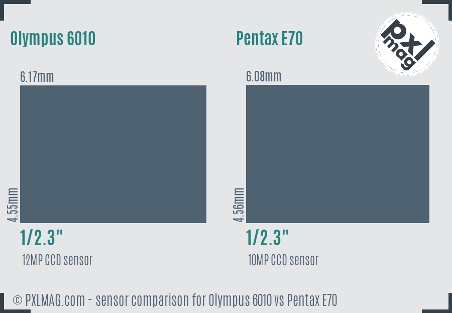 Olympus 6010 vs Pentax E70 sensor size comparison