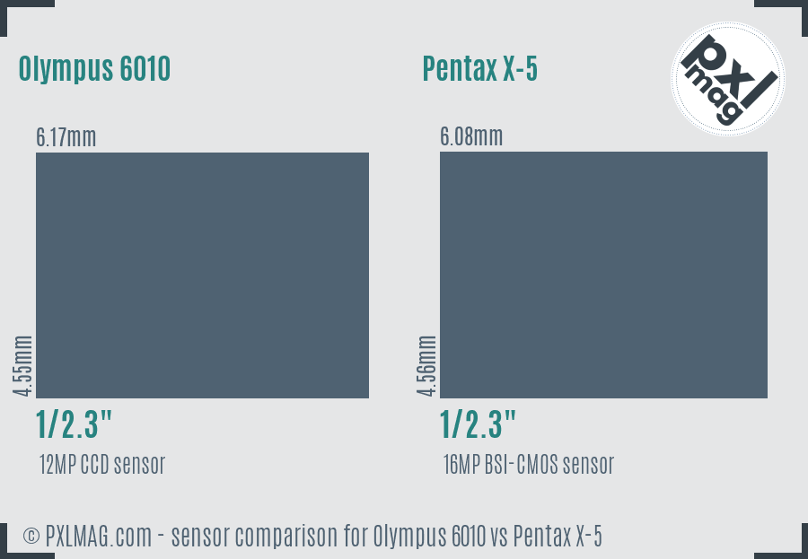 Olympus 6010 vs Pentax X-5 sensor size comparison Olympus 6010 vs Pentax X-5 sensor size comparison