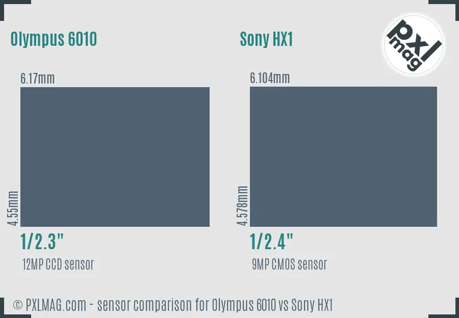 Olympus 6010 vs Sony HX1 sensor size comparison